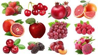 Red Fruit  Red Fruits Name  Red Fruits In English  Fruits Vocabulary - ENGLIZO