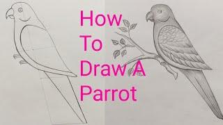 parrot DrawingTota ka Chitra Kaise BanayeHow To Draw A Parrot Very Easy Step by Step