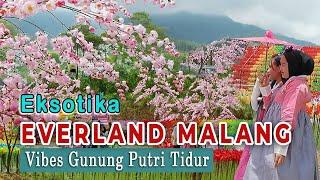 Soft Opening EVERLAND MALANG  Langsung Diserbu Pengunjung Wisata Tahun Baru 2024  Viral