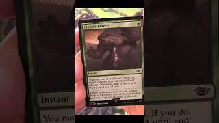 EPIC PULL Lord of the Rings Set Booster