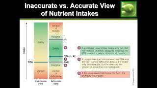 Guide to Diet Recommendations DRI RDA EER etc