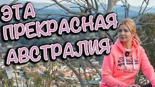 VLOG №5 НОВЫЙ ЮЖНЫЙ УЭЛЬС НА МАШИНЕ ЗАМОК ПОСРЕДИ ПОЛЯ