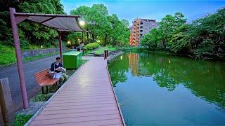 Tokyo Summer Evening Walk in Ota-ku Japan • 4K HDR