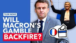 Why Macron Called a Snap Election