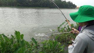 câu cá  lên cá khủng ở sông Sài Gòn  cần thủ kiệt sức.