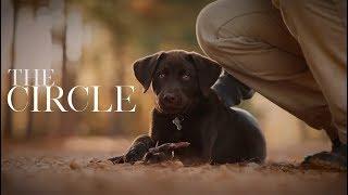 The Circle — true story of mans connection with k-9’s