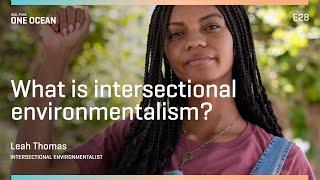 What is Intersectional Environmentalism? WSL PURE  One Ocean