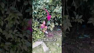 Cleaning an Abandoned Grave For Free