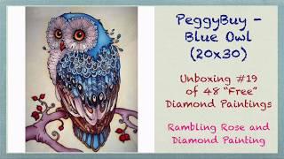 Unboxing PeggyBuy #19 of 48 - Blue Owl 20x30