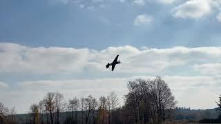 Windy day maiden flight Durafly p-40 Warhawk 4s Flying