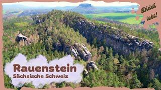 Rauenstein Geheimtipp auf malerischem Gratweg  Sächsische Schweiz