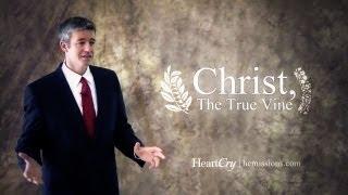 Christ The True Vine - Paul Washer