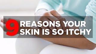 9 Reasons Your Skin Is So Itchy  Health