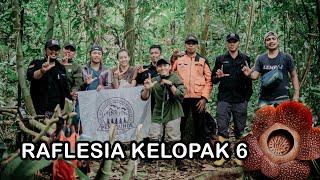 Puspa Langka Bunga Raflesia Kelopak 6