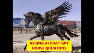 Sun Live - Chat GPT Horse Questions Evaluated - Great Questions & Answers