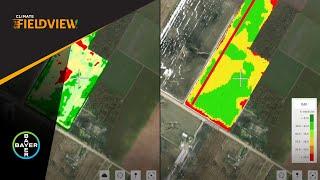 FieldView™ Master Seed Scripting with DEKALB® Corn Hybrids