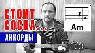 СТОИТ СОСНА - АРМЕЙСКАЯ АККОРДЫ ДЛЯ ГИТАРЫ как играть РАЗБОР простая песня на гитаре