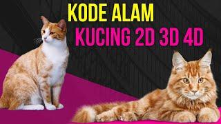 EREK  EREK KUCING 2D 3D 4D  KODE ALAM KUCING  TAFSIR MIMPI KUCING