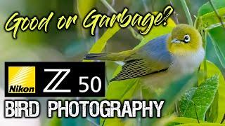 Nikon Z50 Bird Photography  GOOD or GARBAGE?