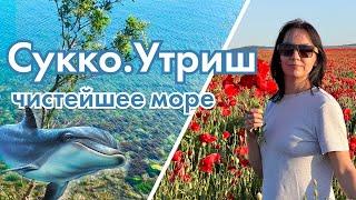 #анапа Сукко. Большой Утриш. Нашли чистое море Пробирались на поле с маками