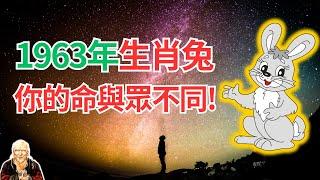 1963年的屬兔人，2024年運勢，你真想不到！這是屬於你自己的運程，快看你的與眾不同！ #2024年生肖兔運勢 #2024生肖兔運程 #生肖兔2024 #屬兔人2024年運程 #屬兔人2024年運勢