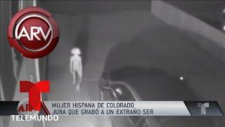 Mujer hispana asegura que grabó a un extraterrestre  Al Rojo Vivo  Telemundo