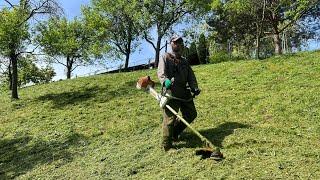 Stihl Fs 561-C in fresh grass on big slope.