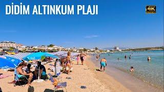 DİDİM ALTINKUM PLAJI WALK ON THE BEACH TÜRKİYE 2023