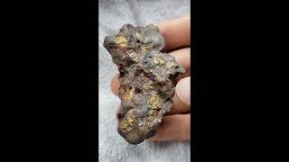 meteorite pallasite