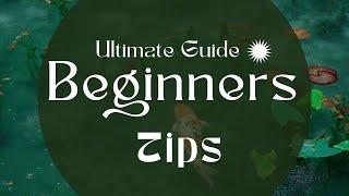 The Ultimate Guide to Caring for Koi Fish Tips for Beginners