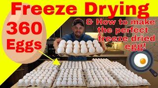 Freeze Drying 360 Eggs & How to make the Perfect Freeze Dried Egg