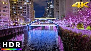 Meguro River Tokyo Christmas Lights  4K HDR