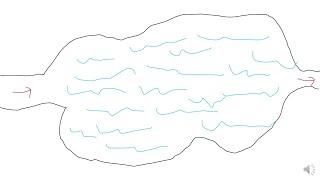 Lacustrine Depositional Systems