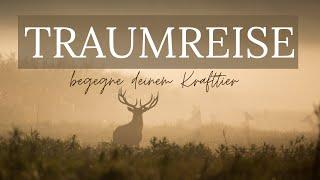 Reise zu deinem Krafttier- Meditation zur Tiefenentspannung#traumreise #fantasiereise #einschlafen