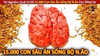 Thí Nghiệm Quái Dị Để 15.000 Con Sâu Ăn Sống Bộ N.ão Cực Đáng Sợ  Review Giải Trí Đời Sống