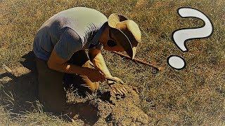 I finished the hunt with a coin spill AGAIN Metal Detecting Germany Nr.145