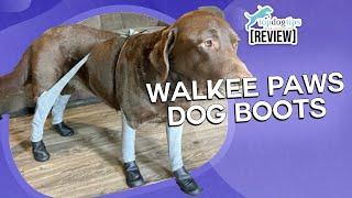 Review  Walkee Paws Dog Boot Leggings