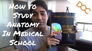 How to Study Anatomy in Medical School