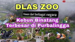 Kebun Binatang Terbesar di Purbalingga  DLAS ZOO  Wisata Purbalingga Terbaru 2023