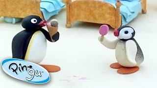 Pingu And Pinga Enjoy Ice Cream @Pingu   Cartoons For Kids