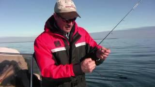 Perch Fishing - Jigging for Perch Using the Boa Jigr - Jumbo Perch Overload