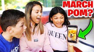 We Think We FOUND Our MISSING Puppy MARCH POM On TIKTOK **EMOTIONAL**