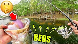 this Secret Lure OUT FISHES Every other Bed Fishing bait