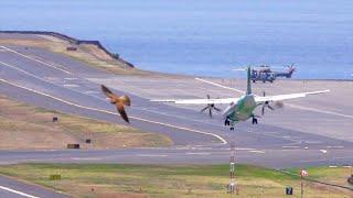 SPECTACULAR LANDING BINTER ATR 72-600 at Madeira Airport