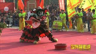 佛山市南海区狮山镇颜峰武术龙狮协会