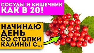 Советы от прабабки Ни разу не была в больнице Для ЖКТ легких сердца и даже…