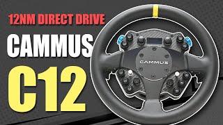 CAMMUS C12 - A budget 12Nm Direct Drive but is it Worth it?