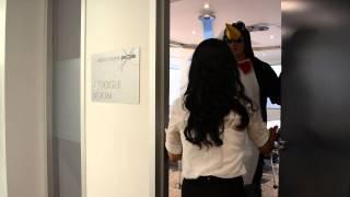 Google Penguin Visits the SEP Office