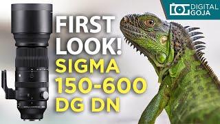 Sigma 150-600mm First Look  150-600mm f5-6.3 DG DN for Sony e