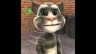 Talking Tom Süt İçiyor